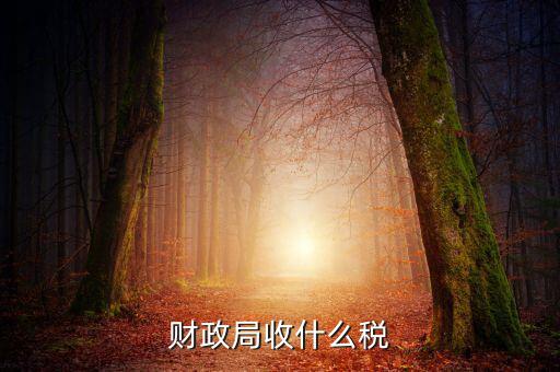 財(cái)政局征收什么稅，現(xiàn)行由財(cái)政機(jī)關(guān)征收的稅收有哪些拜托各位大神