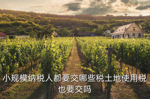 小規(guī)模納稅人交什么稅，小規(guī)模納稅人要交哪些稅