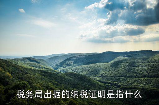 稅繳納證明是什么，什么是個(gè)人納稅證明