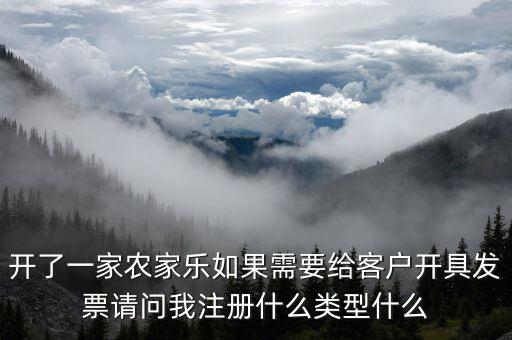 我要是以開普票為主 注冊什么性質(zhì)的公司好，開了一家農(nóng)家樂如果需要給客戶開具發(fā)票請(qǐng)問我注冊什么類型什么