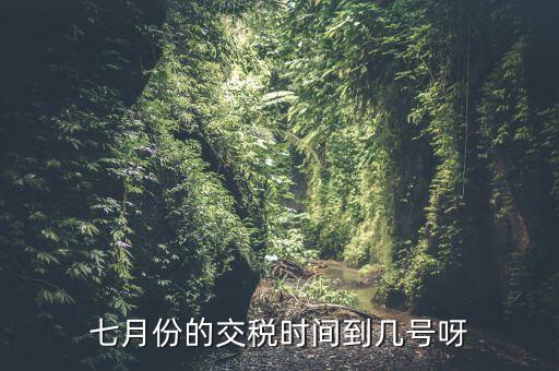 福建地稅7月報(bào)稅到什么時(shí)候，請(qǐng)問(wèn)7月份國(guó)稅地稅的征期截止到哪天