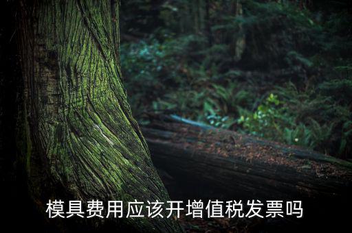 模具設(shè)計(jì)開發(fā)費(fèi)開什么發(fā)票，模具開發(fā)及制造費(fèi)一般開什么發(fā)票明細(xì)