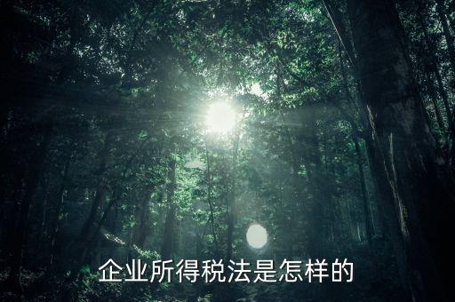 什么是企業(yè)所得稅法，企業(yè)所得稅法是怎樣的