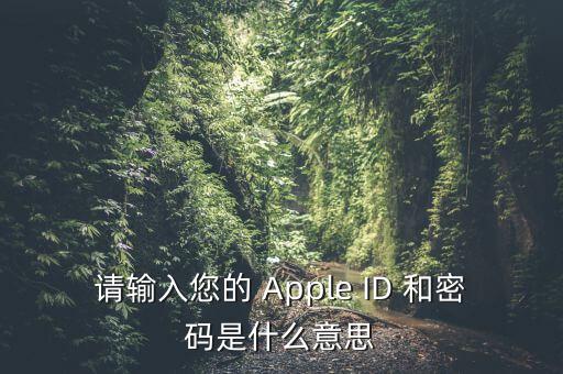 查詢個(gè)稅 密碼是輸入什么，請輸入您的 Apple ID 和密碼是什么意思