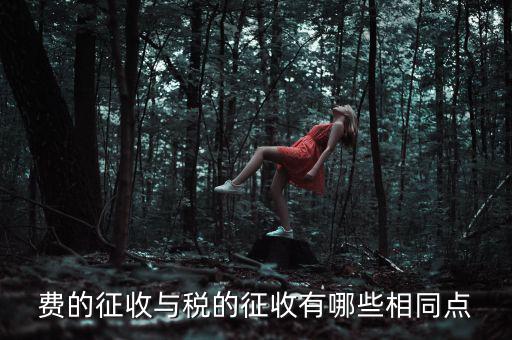 稅與費有什么區(qū)別 稅收具有，費的征收與稅的征收有哪些相同點