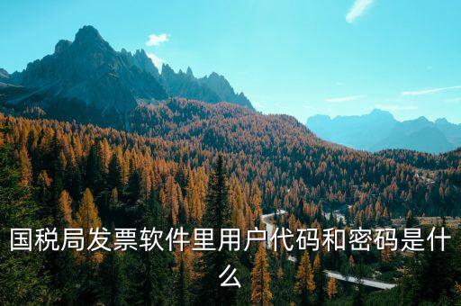 湖南汽車發(fā)票密碼是什么，國稅局發(fā)票軟件里用戶代碼和密碼是什么