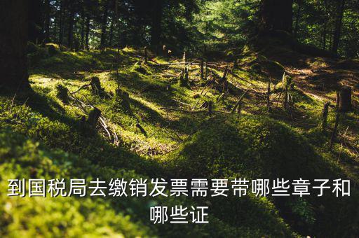 繳銷出口商品統(tǒng)一發(fā)票要蓋什么章，到國(guó)稅局去繳銷發(fā)票需要帶哪些章子和哪些證