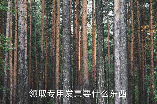 領(lǐng)購專票需要帶什么，領(lǐng)購增值稅專用發(fā)票需要帶哪些東西詳細(xì)點(diǎn)謝謝