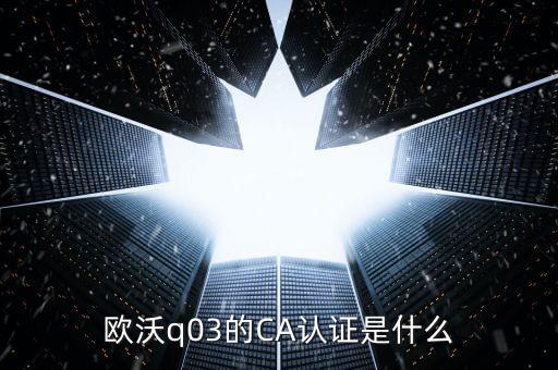 ca認證密碼是什么，歐沃q03的CA認證是什么