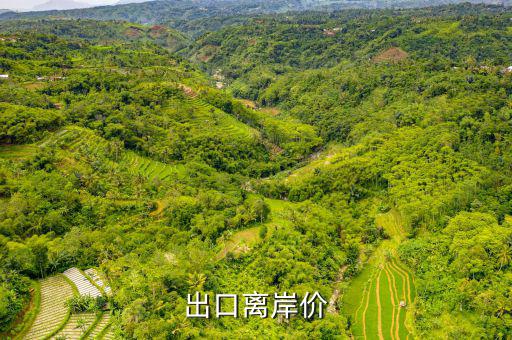 出口貨物離岸價是什么，出口離岸價