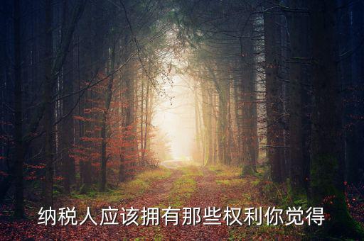 納稅人的權(quán)益有什么，納稅人應(yīng)該擁有那些權(quán)利你覺(jué)得