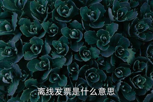 離線開(kāi)票什么意思，離線發(fā)票是什么意思
