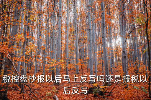 稅控盤(pán)抄報(bào)以后馬上反寫(xiě)嗎還是報(bào)稅以后反寫(xiě)