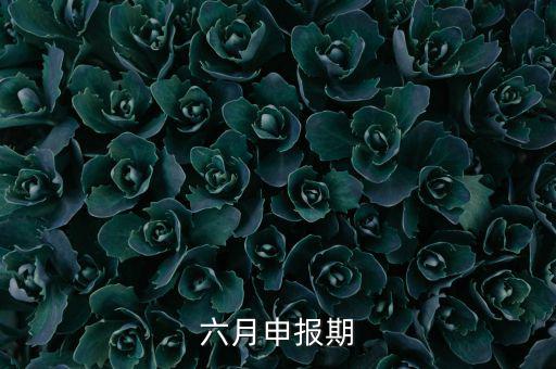 6月申報期是什么意思，個人所得稅申報期是每月15號嗎