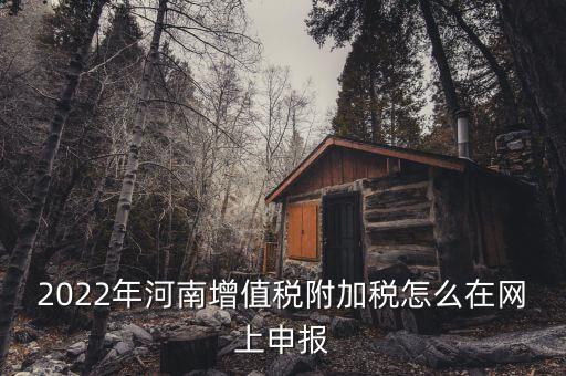 附加稅在什么網(wǎng)站申報，2022年河南增值稅附加稅怎么在網(wǎng)上申報