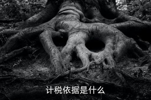 企業(yè)所得稅的計(jì)稅依據(jù)是什么，計(jì)稅依據(jù)是什么