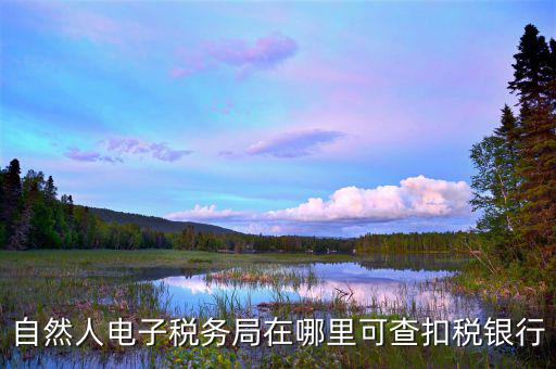 電子稅務(wù)局銀行端查詢什么，天津電子稅務(wù)局如何查詢銀行賬戶備案信息