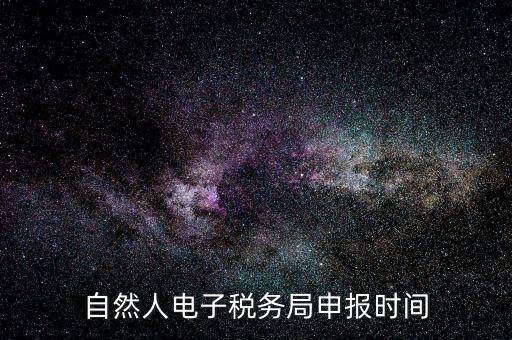 自然人納稅平臺是什么時候，自然人電子稅務局登錄時間