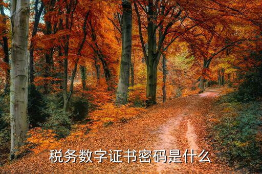 煙臺國稅證書密碼是什么，登錄國稅網(wǎng)上辦稅服務(wù)廳的用戶名和密碼是什么