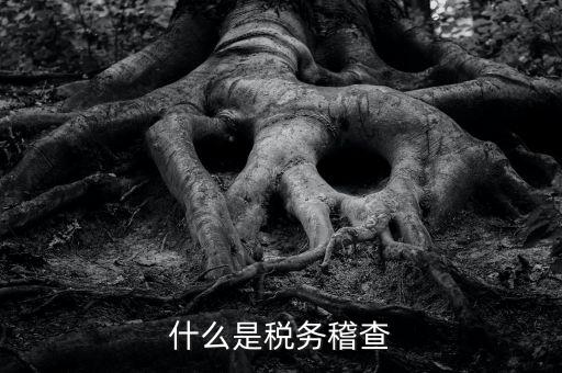 稅務(wù)檢查查什么，什么是稅務(wù)稽查