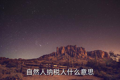 什么是自然人辦稅，自然人納稅人什么意思