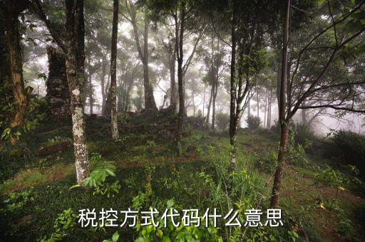 什么叫稅控碼，稅控方式代碼什么意思