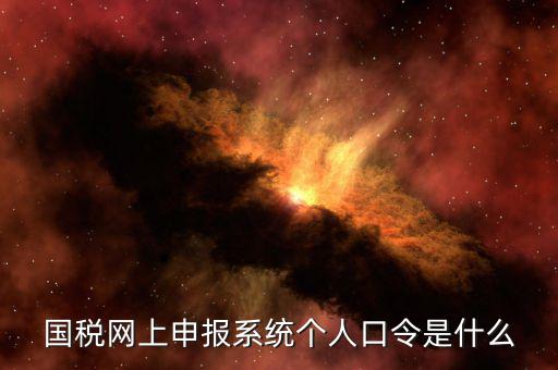 國(guó)稅證書(shū)口令是什么意思，網(wǎng)上申報(bào)國(guó)稅系統(tǒng)登陸的口令是什么