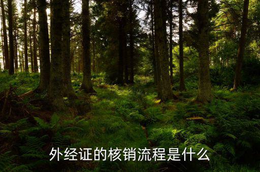 核銷的外經(jīng)證是什么樣，外經(jīng)證核銷是什么意思