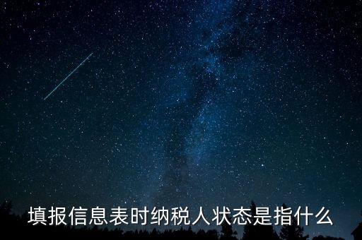 納稅人狀態(tài)03是什么意思，填報(bào)信息表時(shí)納稅人狀態(tài)是指什么