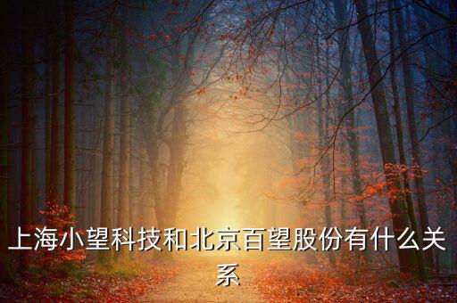百望跟百旺有什么關(guān)系，上海小望科技和北京百望股份有什么關(guān)系