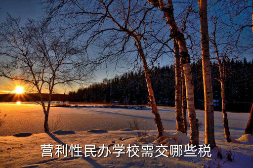 學(xué)校要交什么稅，營(yíng)利性民辦學(xué)校需交哪些稅