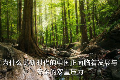 中國的雙重負(fù)擔(dān)是什么，為什么說新時(shí)代的中國正面臨著發(fā)展與安全的雙重壓力