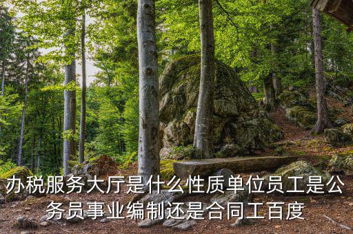 什么是辦稅服務(wù)大廳，辦稅服務(wù)廳的基本服務(wù)包括哪些