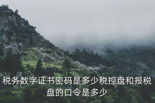 國稅申報ca默認密碼是什么意思，國家稅務總局網上辦稅服務廳初始密碼是什么