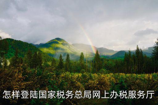 稅務(wù)局登錄什么瀏覽器可以，怎樣登陸國家稅務(wù)總局網(wǎng)上辦稅服務(wù)廳