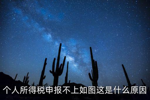 個(gè)稅申報(bào)不成功什么原因，個(gè)人所得稅申報(bào)不上如圖這是什么原因