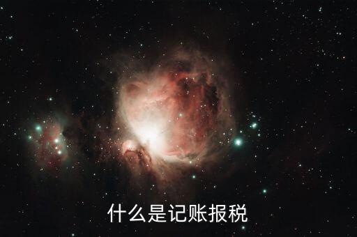 報稅記錄是指什么，報稅是什么意思 報稅的含義
