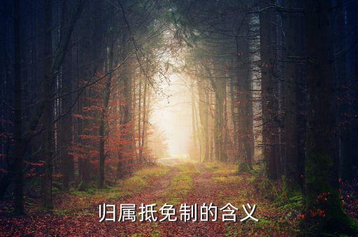 為什么要制定實施稅收抵免制度，歸屬抵免制的含義