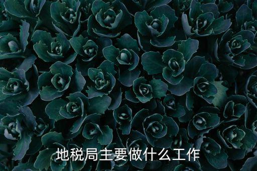 地稅局主要管什么的，地稅局工作的主要內(nèi)容