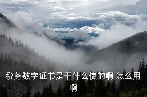 安徽國稅局?jǐn)?shù)字證書是什么意思，稅務(wù)數(shù)字證書是干什么使的啊 怎么用啊