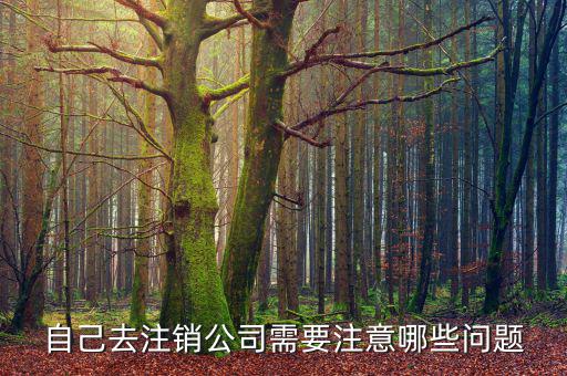 企業(yè)注銷需要注意什么，公司撤銷與注銷有哪些注意事項(xiàng)