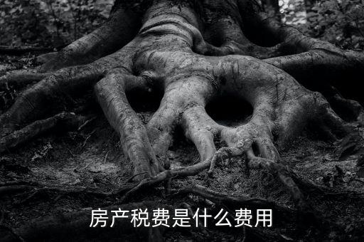 什么是房土兩稅，什么是城鎮(zhèn)土地使用稅