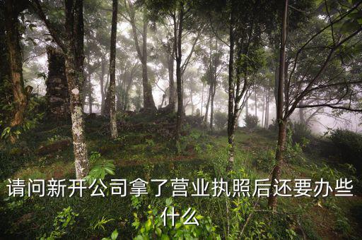 拿到營業(yè)執(zhí)照后需要辦理什么，請(qǐng)問新開公司拿了營業(yè)執(zhí)照后還要辦些什么