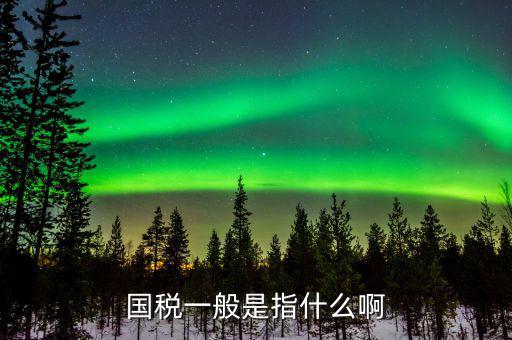 國稅指工業(yè)企業(yè)是什么意思，所屬國稅是什么意思