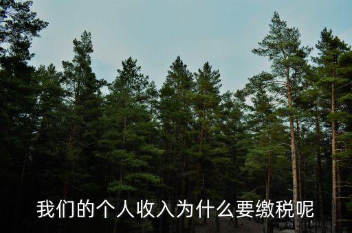 為什么要上個人所得稅，我們的個人收入為什么要繳稅呢