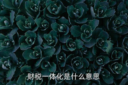 什么是稅收一體化，財稅一體化客戶端V11是什么啊必須用嗎