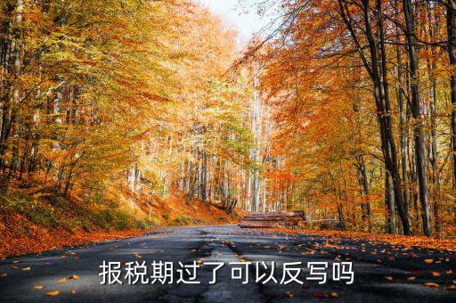 報(bào)稅期過(guò)了可以反寫(xiě)嗎