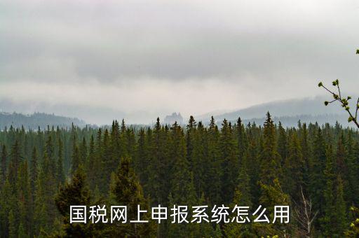 國稅網(wǎng)絡(luò)預申請系統(tǒng)是什么，怎么安裝國稅網(wǎng)上申報系統(tǒng)