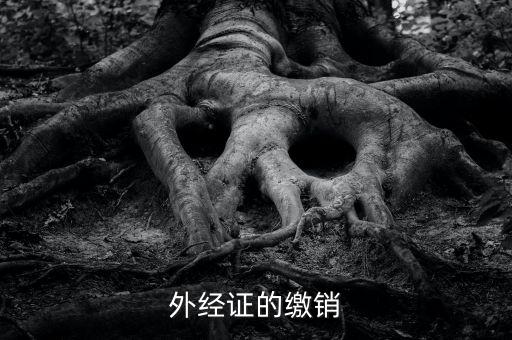 廈門繳銷外經(jīng)證國稅什么資料，廈門國稅需銷項合同是什么