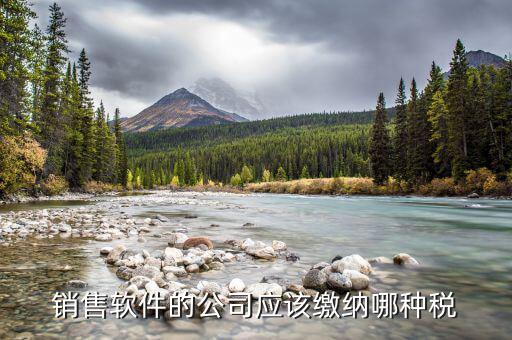 軟件營銷應(yīng)該上什么稅，銷售軟件交什么稅